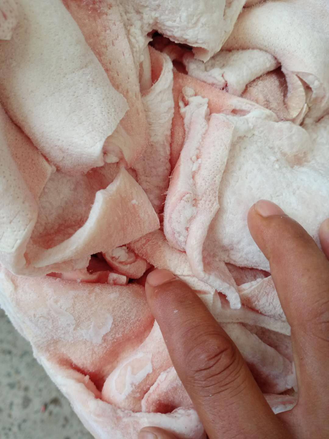  带皮去皮肚腩膘   现货