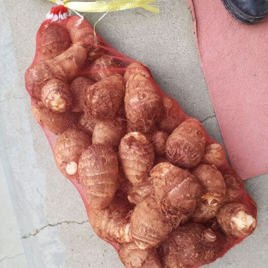 沂水县毛芋头  芋头大量供应，包证质量，发货全国