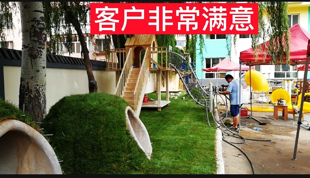 草坪种子 北京草坪基地销售草坪草籽竹子月季宿根花卉庭院绿化施工
