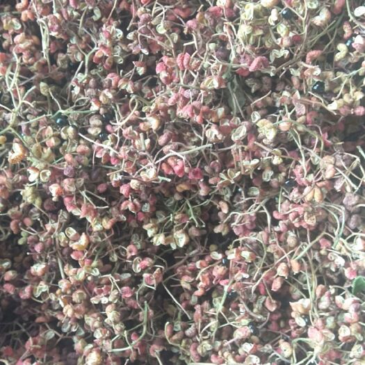 遵化市红花椒 一级 干花椒