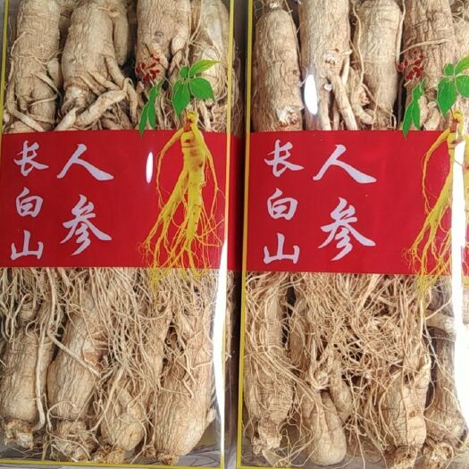 安国市 生晒参，白参，白须参，整枝人参，可代打超微粉