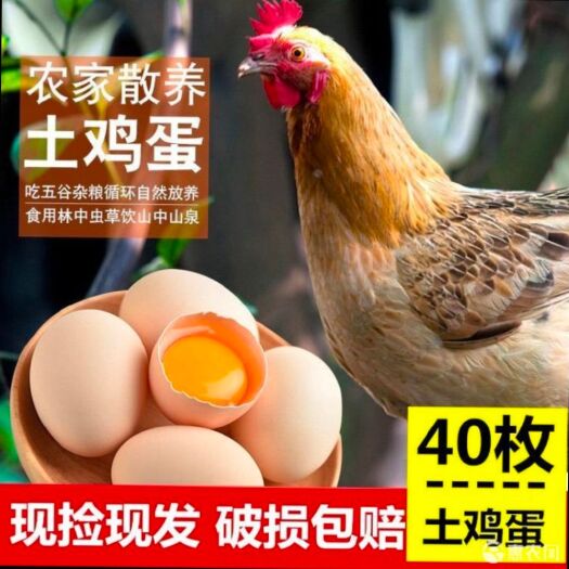 耒阳市40枚一件代发湖南耒阳高山林下散养土鸡蛋