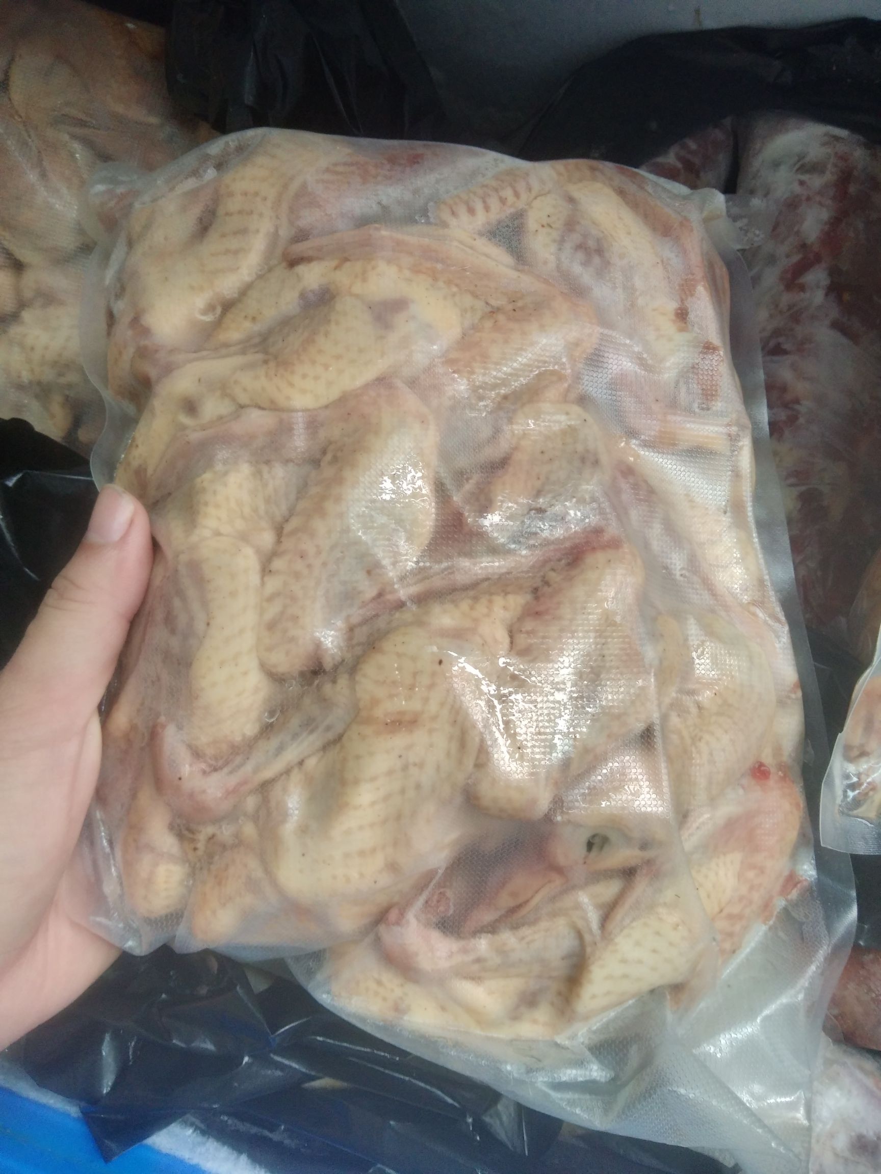 肉鸽肉 腌制乳鸽，配方腌制，保证每份乳鸽皮脆多汁，口齿留香。