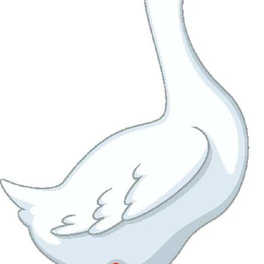 永胜县 孕妈吃鹅蛋排毒素，宝宝不易得黄疸，