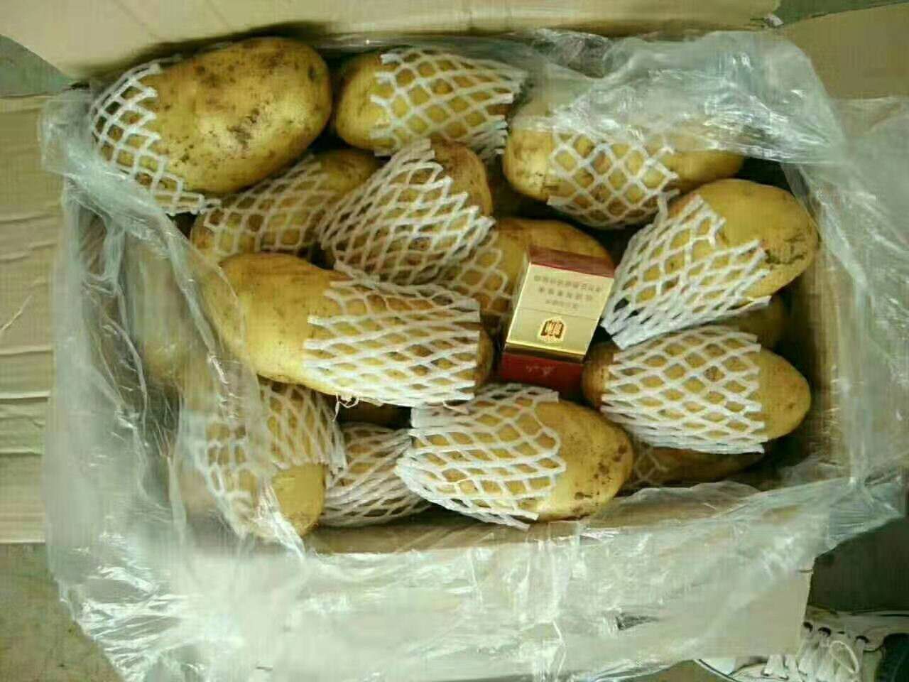 荷兰15  山东荷兰土豆箱装精品货，特大箱装土豆
