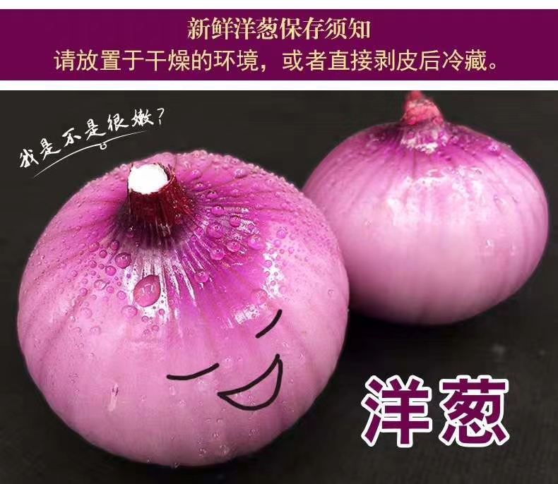 扁红洋葱  山东省聊城市莘县洋葱基地直供