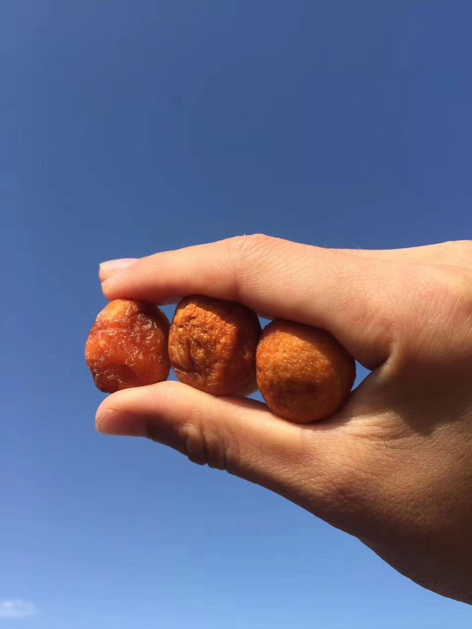 新疆雪山脚下天然吊干杏