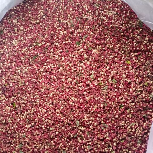 陇南陇上伏椒 特级 鲜花椒