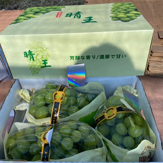 潜江市 阳光玫瑰大量上市