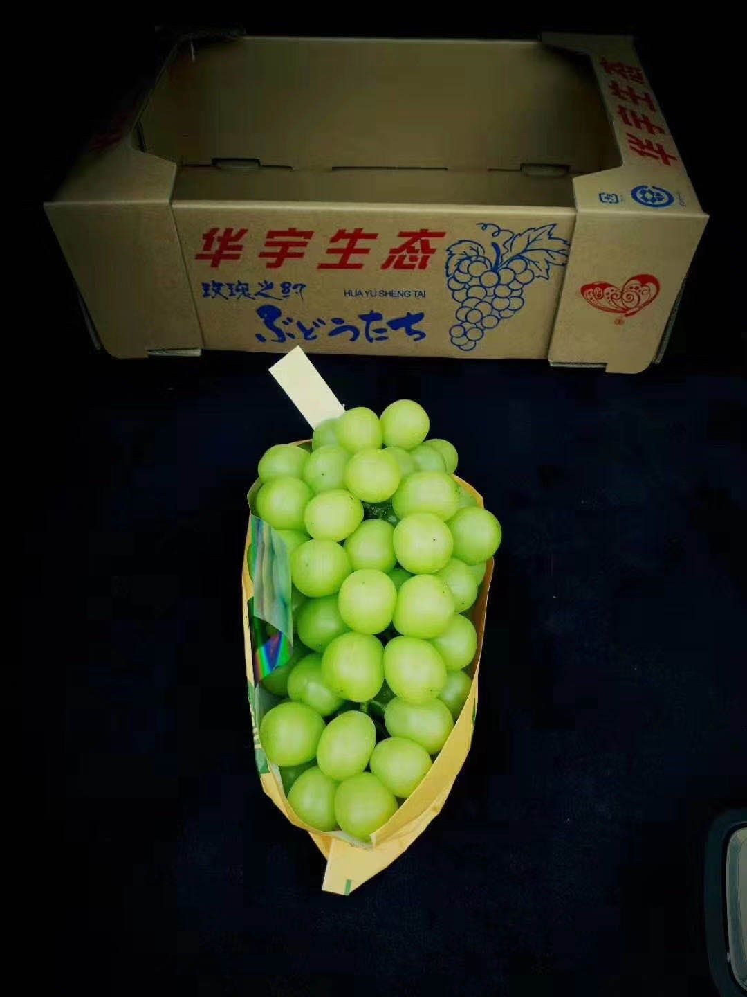  来自自家果园种植的阳光玫瑰，香甜可口