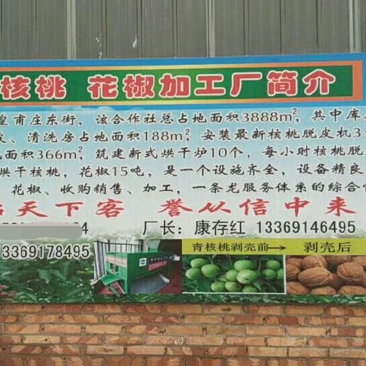 合阳县香玲核桃 皮薄味鲜欢迎采购！原产地直销，一次合作终身朋友！