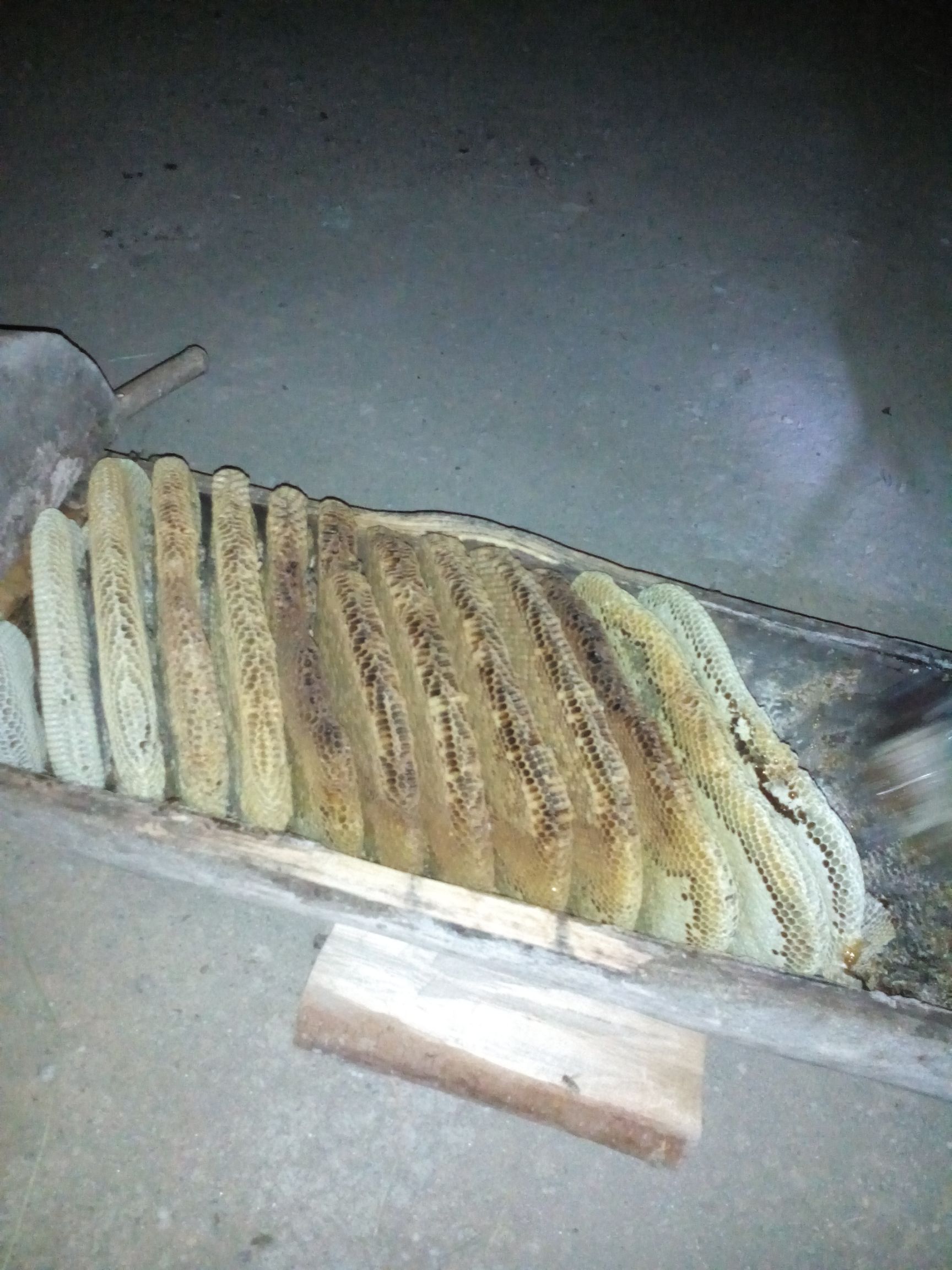 土蜂蜜`巢蜜，百花蜜