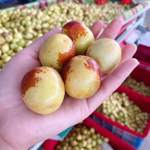 大荔县大荔冬枣（只发商品）。买自己家里的就卖个批发价。顺丰包邮