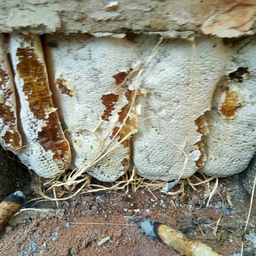 寻甸县枇杷蜜 提炼出来的也有，百花蜜