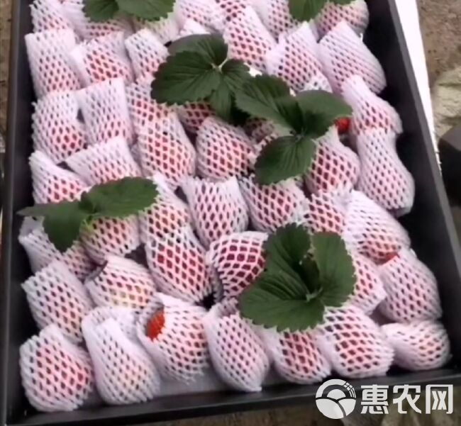 白色水果蔬菜网套