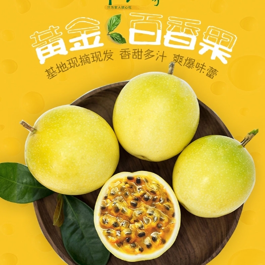 漳平市 黄金百香果种植基地现摘现发