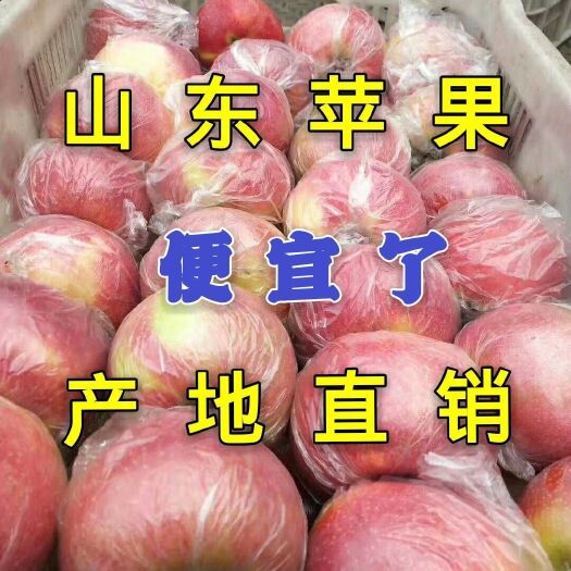沂水县红富士苹果产地批发【嘎啦、红露、美八苹果等】脆甜表光好