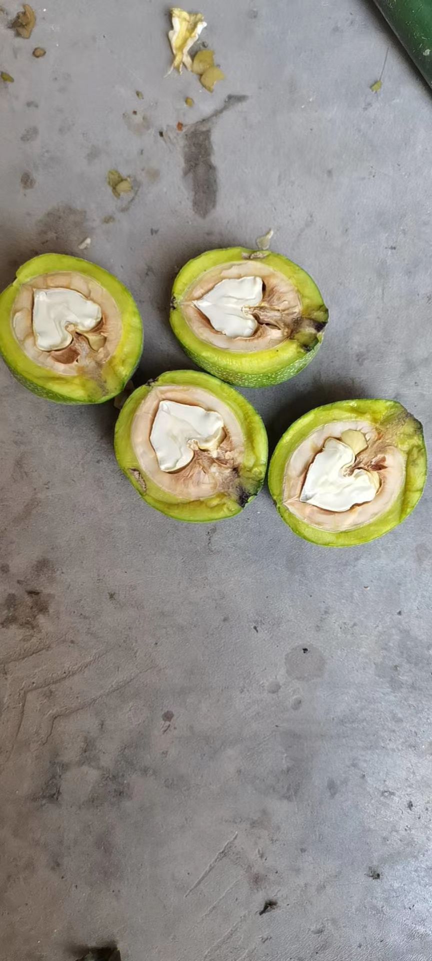 【青皮核桃】核桃(薄皮香玲品种) 物美价廉商超合作