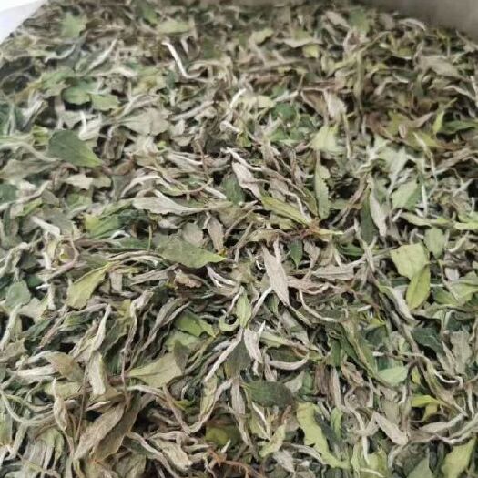 福鼎市 福鼎高山云雾白茶 一级白牡丹  需求量大的老板 价格详谈