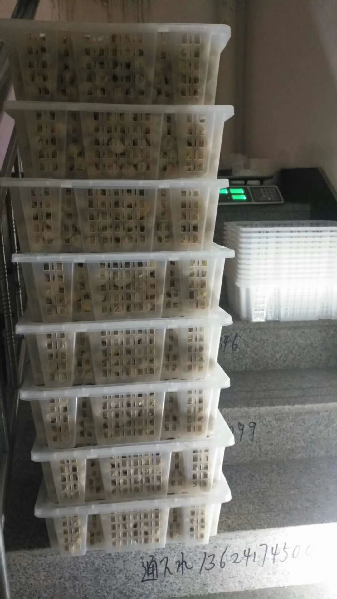  新品上架菇娘果