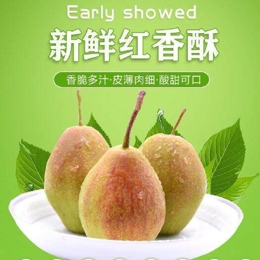  山西红香酥梨新鲜梨子水果脆甜多汁应季