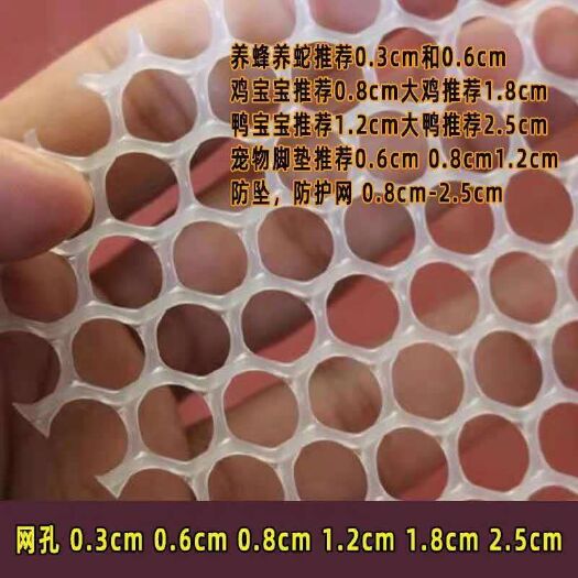 安平县苗床网 全新纯料漏粪网鸭床鹅床隔离网鸡鸭鹅兔鸽塑料平网