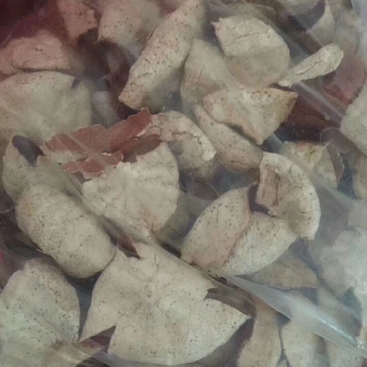 新丰县 自家陈皮批发