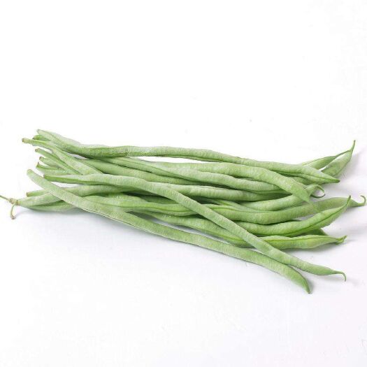 平顺县架豆王豆角 架豆王