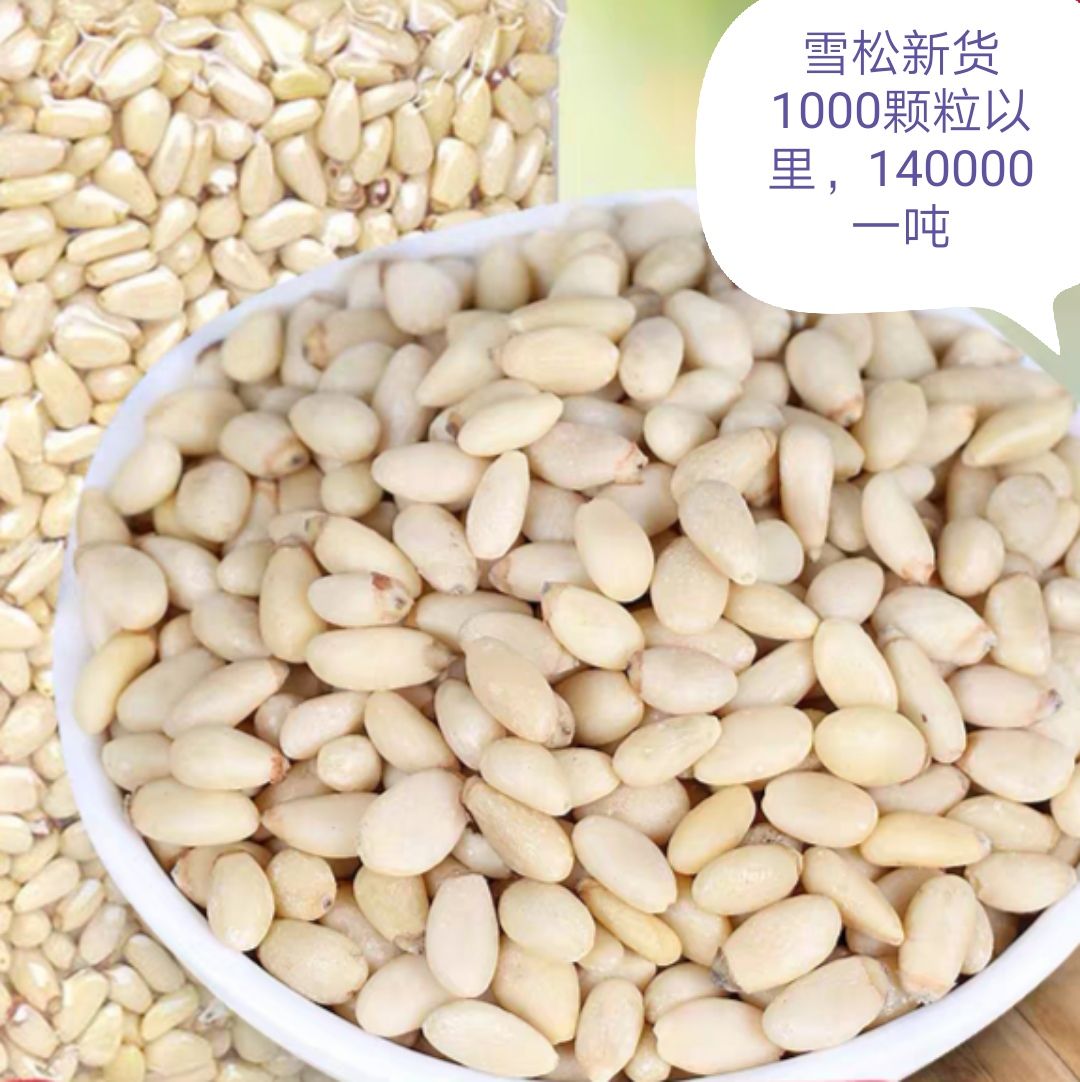 松子仁  俄罗斯雪松仁一等货加工质量保证口感香甜
