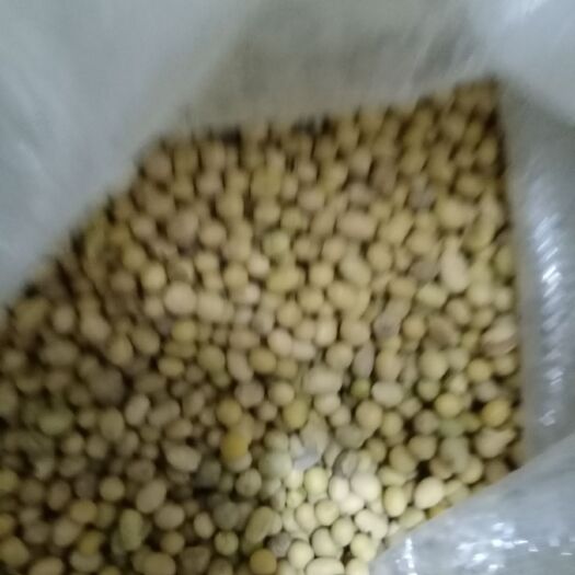 黄豆瓣 豆瓣