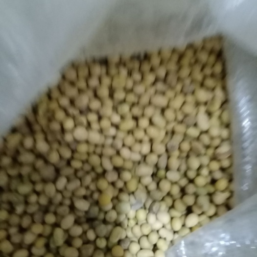 嫩江市黄豆瓣 豆瓣