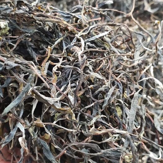 双江县大叶古树普洱茶 散装，大树茶