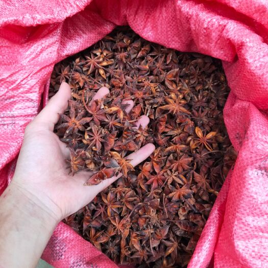 藤县广西大红八角 产地直供 全干无硫 大料香料卤味香无疏大茴香