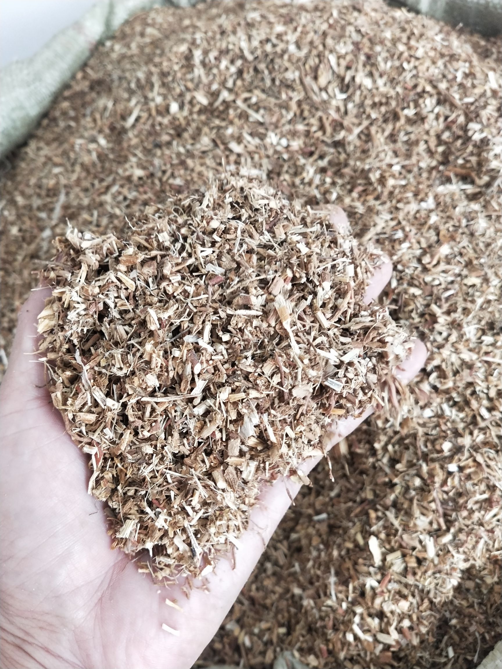甘草小丁甘草皮甘草碎沫甘草.量大从优