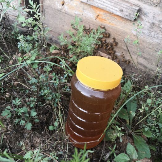 灵宝市 蜂蜜养颜，有助于睡眠，提高抵抗力