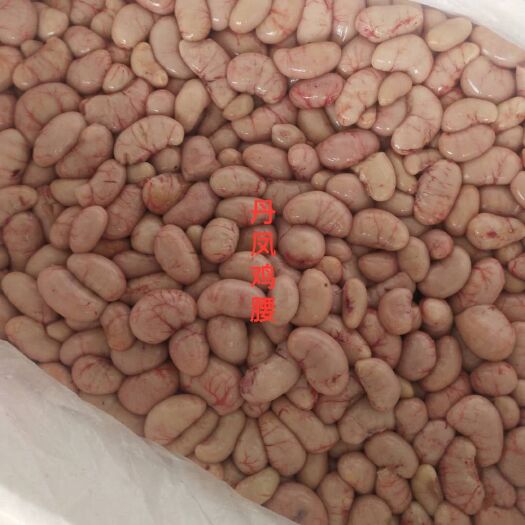 嘉祥县 新鲜鸡腰子，急冻颗粒鸡腰子
