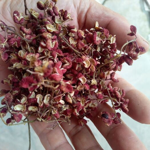 西安 陕西西安的大红袍花椒