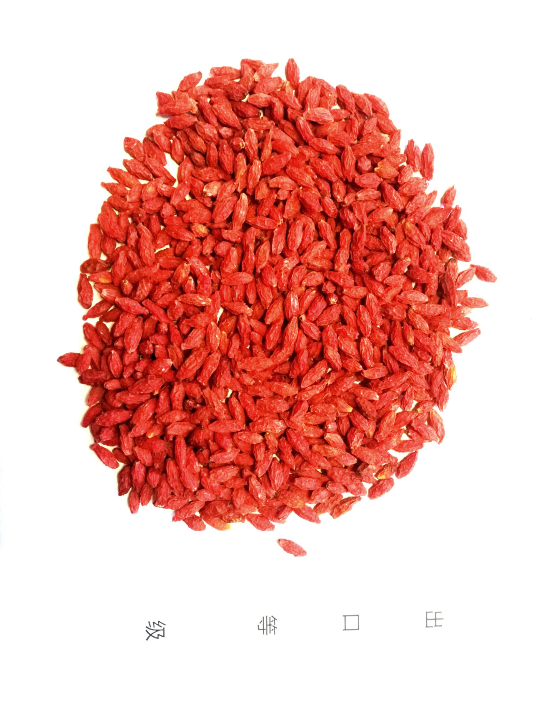 【产地直销】优质红枸杞，无染色，提供检验报告