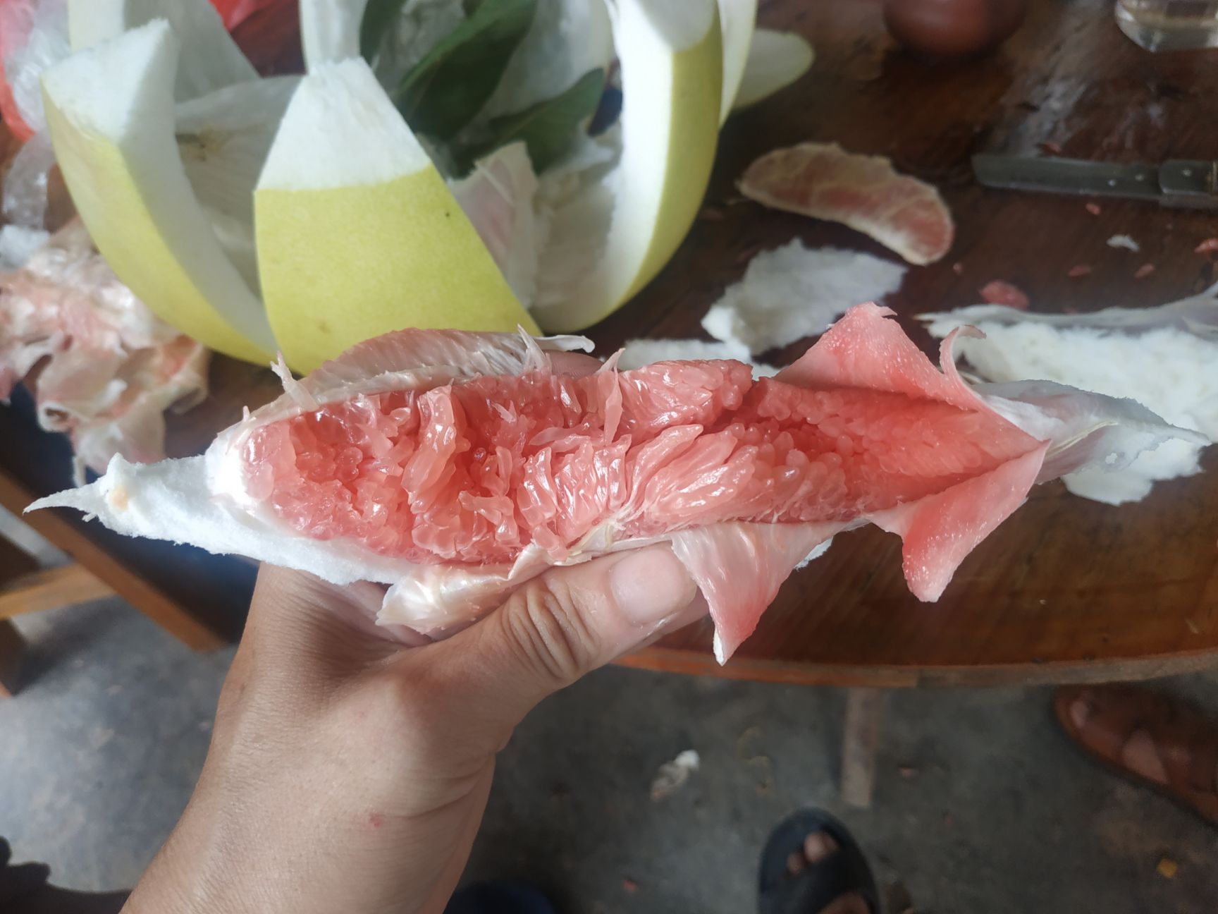 红心柚