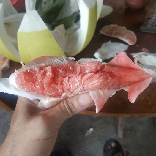 惠东县红心柚