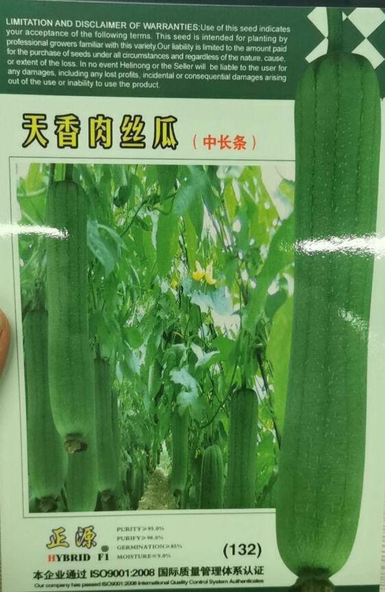天香肉丝瓜种子  中早熟 较耐热 喜肥 喜湿 挂果率高