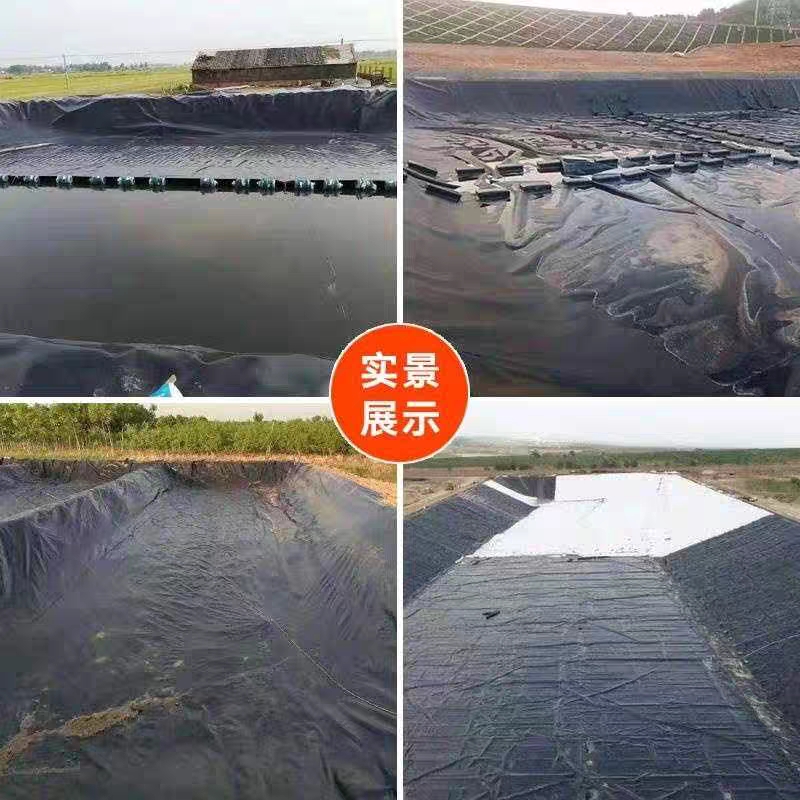 土工膜  防渗膜  鱼池鱼塘防水膜  养殖膜 藕池