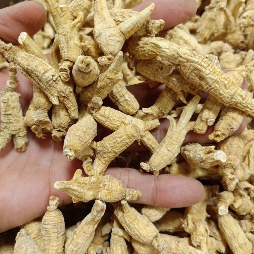 玉林 加拿大西洋参有大货