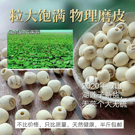 济宁 山东省微山湖莲子干，上市，1斤包邮