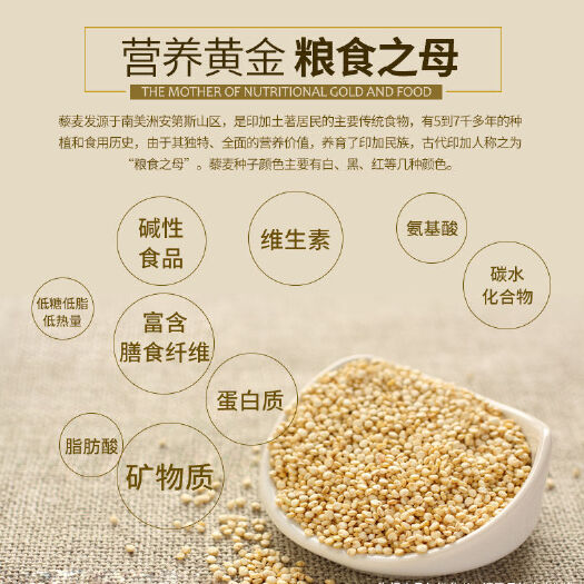 武山县白藜麦  四四湾藜麦