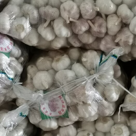 邳州市 本人常年做优质紫皮大蒜，始终本着客户致尚的理念！