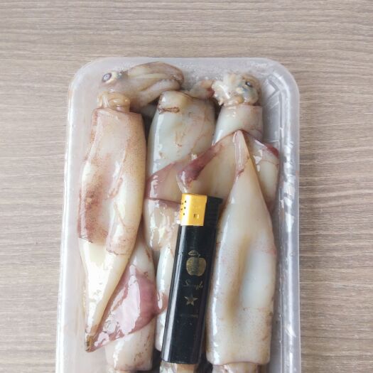 荣成市 精品小鱿鱼