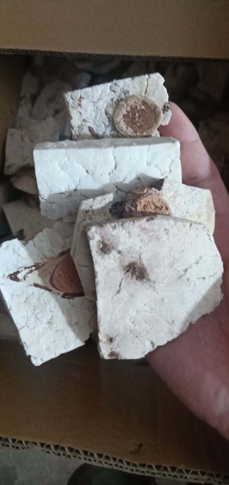 茯神  中药材，云茯神 茯苓神各种规格齐全