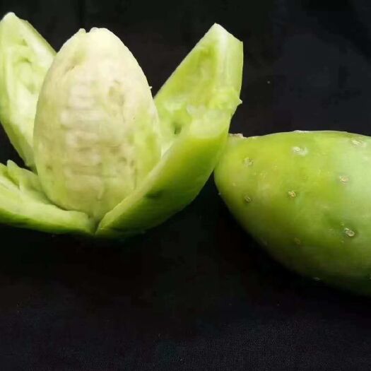 康定市高原绿色产品，仙人掌果，甘甜清凉口感上佳