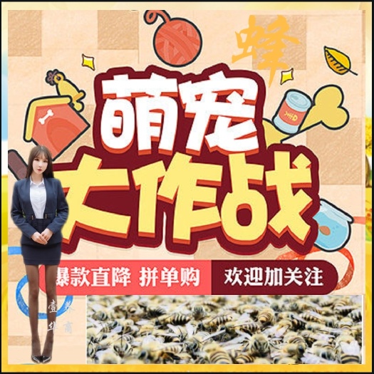 惠州 蜜蜂活体蜂群蜂群新王老群囚王不囚蜂买蜂特卖高品质中蜂双色蜂群